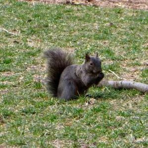 Meet your Posher, Gerry